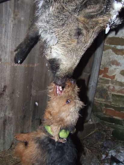 Mladá sa rozohnila:-)