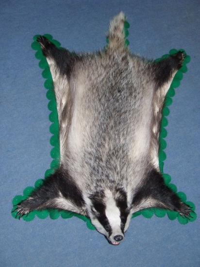 Maličká konečne doma:-)