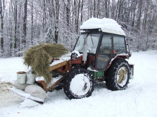 zakrmovať sa predsa musí:-)))