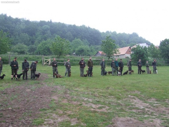 Výcvikové dni