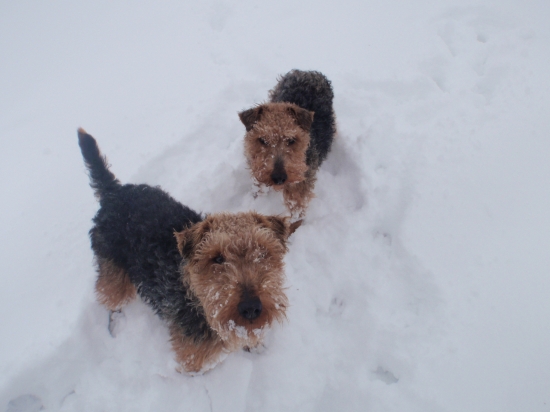 Jedna z prechádzky...