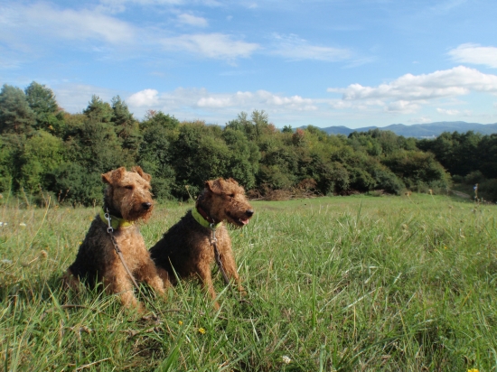 Reina z Agačiny a Beka z Chrástkovej