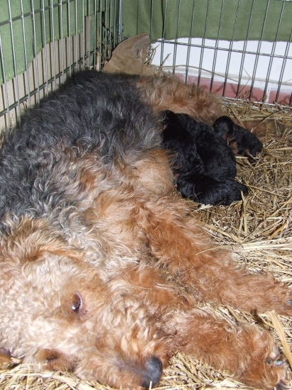 A je to tu...bohatá nádielka :-)