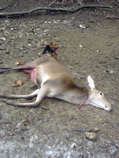 Ďalšia úspešná dohľadávka