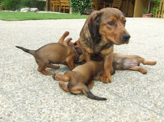 Útok z každej strany :-)