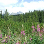 Naše krásne Slovensko