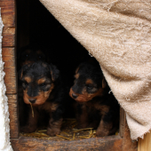 Už máme 4 týždne