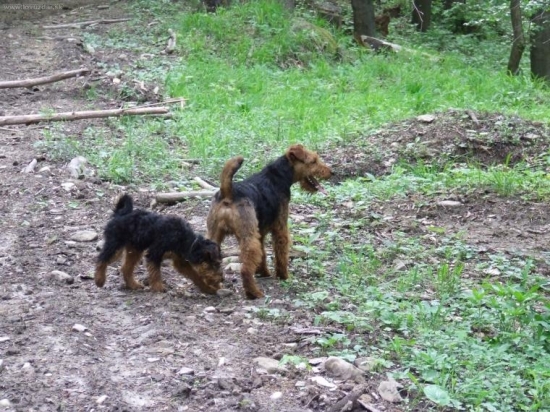 pri pochôdzdke revírom