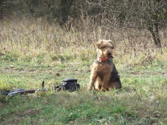 Pred ďaľším pohonom