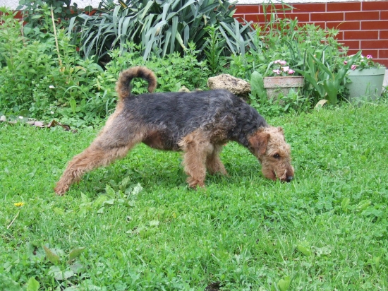 Bruško pomaly rastie:-)))