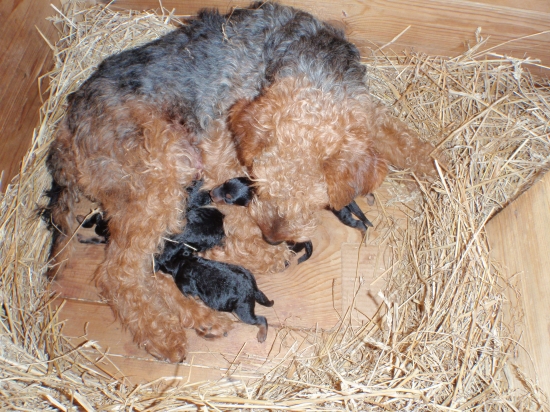 Tak a už sú na svete:-)