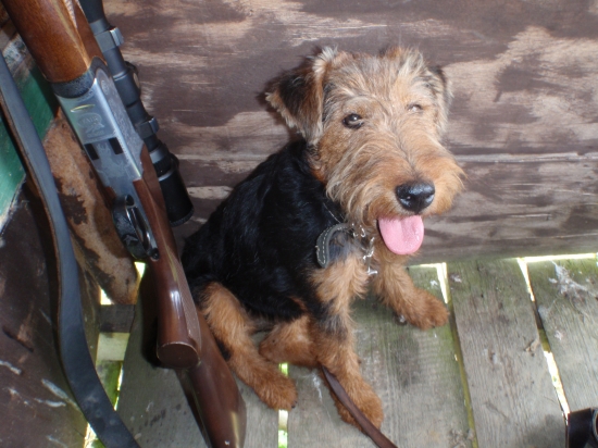 Bára prvý krát na posede:-)