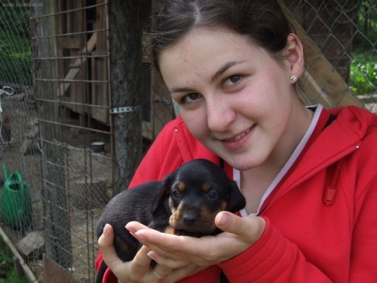 malý kopovček:-)))