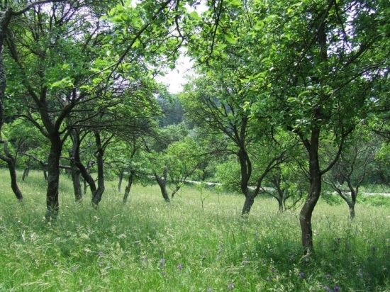 Už sa teším na takéto krásne obdobie:-)))