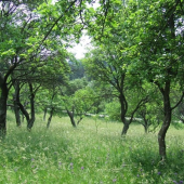 Už sa teším na takéto krásne obdobie:-)))