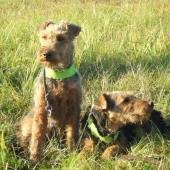 Na jednej z vychádzok.