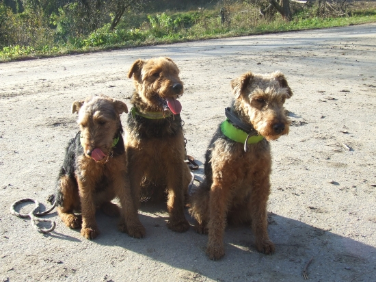 Tu je komplet trojka:-)