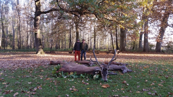 Prekrásny poľovný víkend v Gemenci so synom