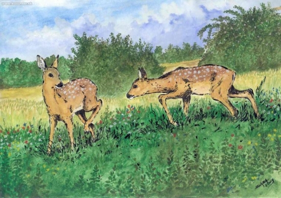Srnčata - kombinovaná perokresba