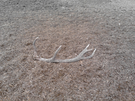 PRVý Tohtoročný!!!