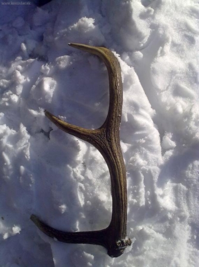 prvý v tomto roku!...xD