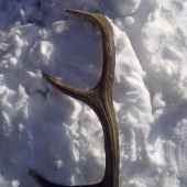 prvý v tomto roku!...xD