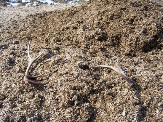 achjaj...akurat v tedy sa mi vubec nechcelo chodit...:-)