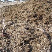 achjaj...akurat v tedy sa mi vubec nechcelo chodit...:-)