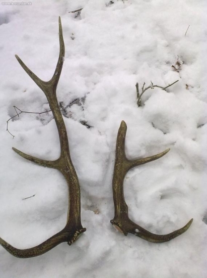 vysledok..pravy(zlomeny)-je moj druhy kamaratov..ID55825