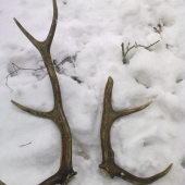 vysledok..pravy(zlomeny)-je moj druhy kamaratov..ID55825