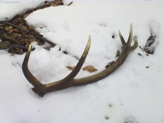 moj-vysnívaný kurunový 10-torak..:o)