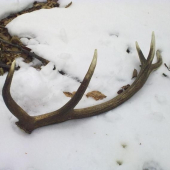 moj-vysnívaný kurunový 10-torak..:o)