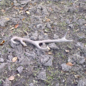 10-toráčik...na luke..:-)