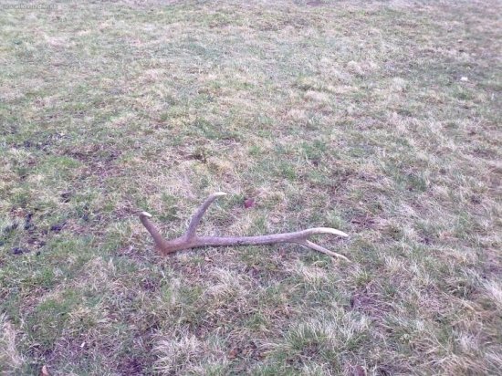 8-toracik..na luke..xDxD