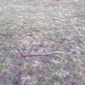 8-toracik..na luke..xDxD