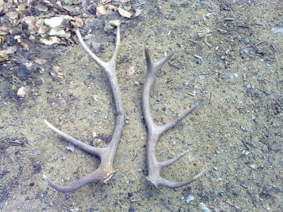 v ten isý den!..zatial..:-)