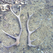 v ten isý den!..zatial..:-)