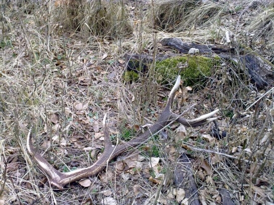 takto som ho našiel...xDxD