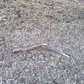 Včerajšie prekvapenie na luke...