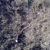 Takto si tam ležal...:-)