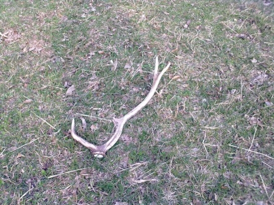 menší ale poteší...:-]