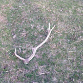 menší ale poteší...:-]