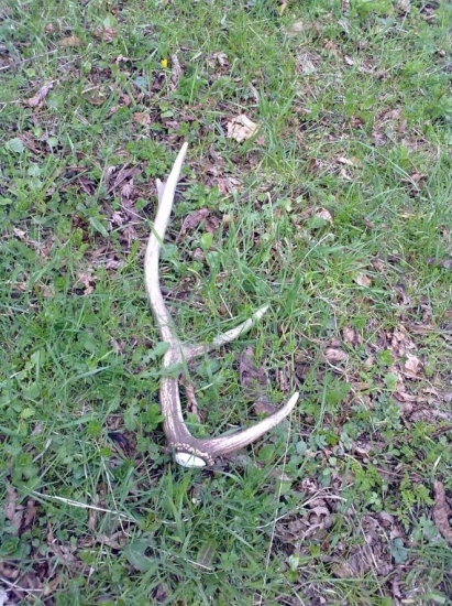 uz 20-paroh za tento rok..:-)