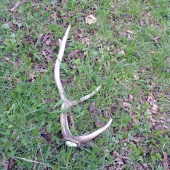 uz 20-paroh za tento rok..:-)