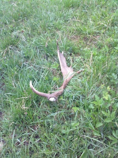 to bola zase radosť..:-)