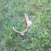 to bola zase radosť..:-)