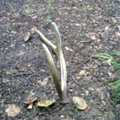 Dlaší do zbierky..:-]