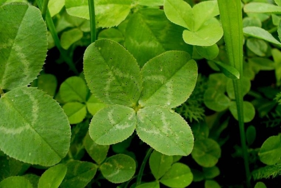 moja kazdodenná niekoľkonásobná samozrejmosť :)