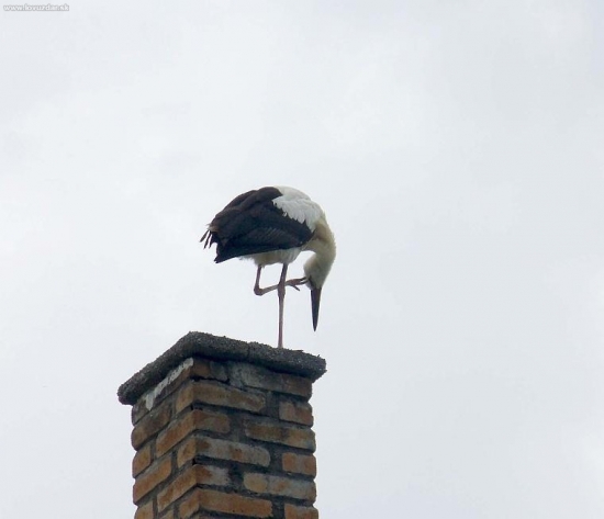 Trošku sa poškrabkám :)