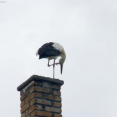 Trošku sa poškrabkám :)